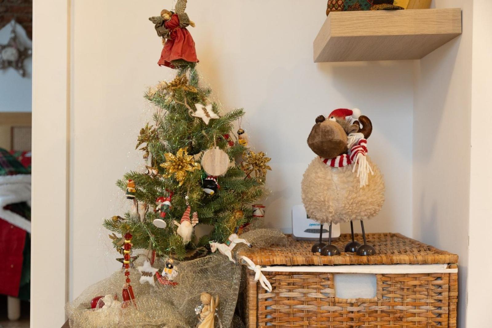 Sweet Cozy Ultracentral Craiova Buitenkant foto